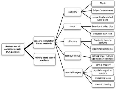 Electrophysiological and Neuroimaging Studies – During Resting State and Sensory Stimulation in Disorders of Consciousness: A Review